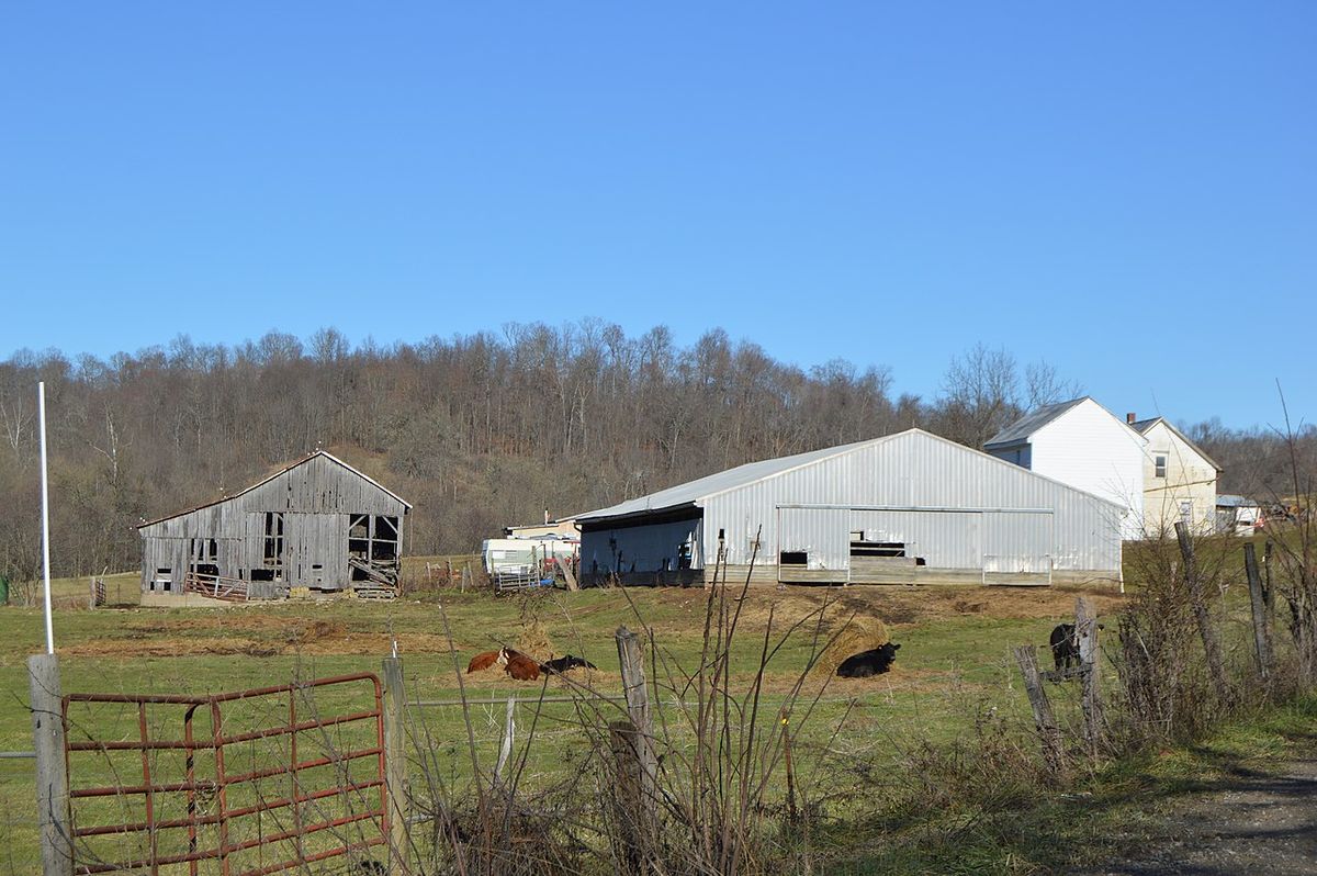 Ball Lightning Report from Rich Valley, Virginia (2025)