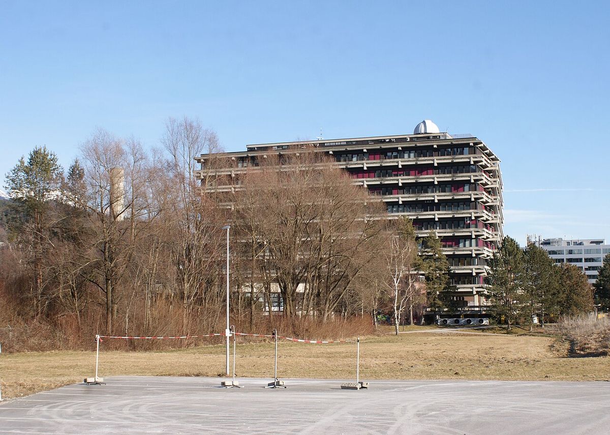 Ball Lightning as Magnetic Hallucination — The TMS Hypothesis (2008)