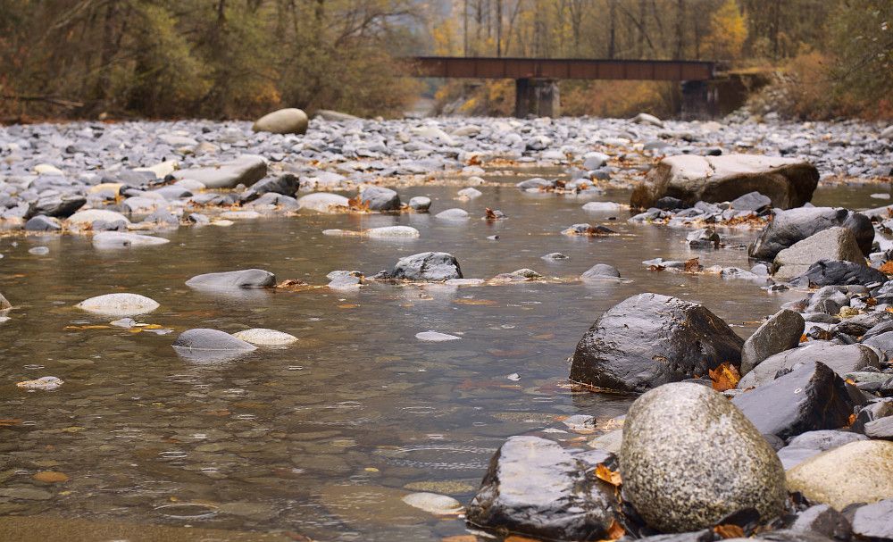 The Chapman Family Encounter — Ruby Creek, British Columbia (1941)