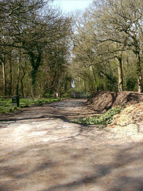 The Black Lady of Bradley Woods