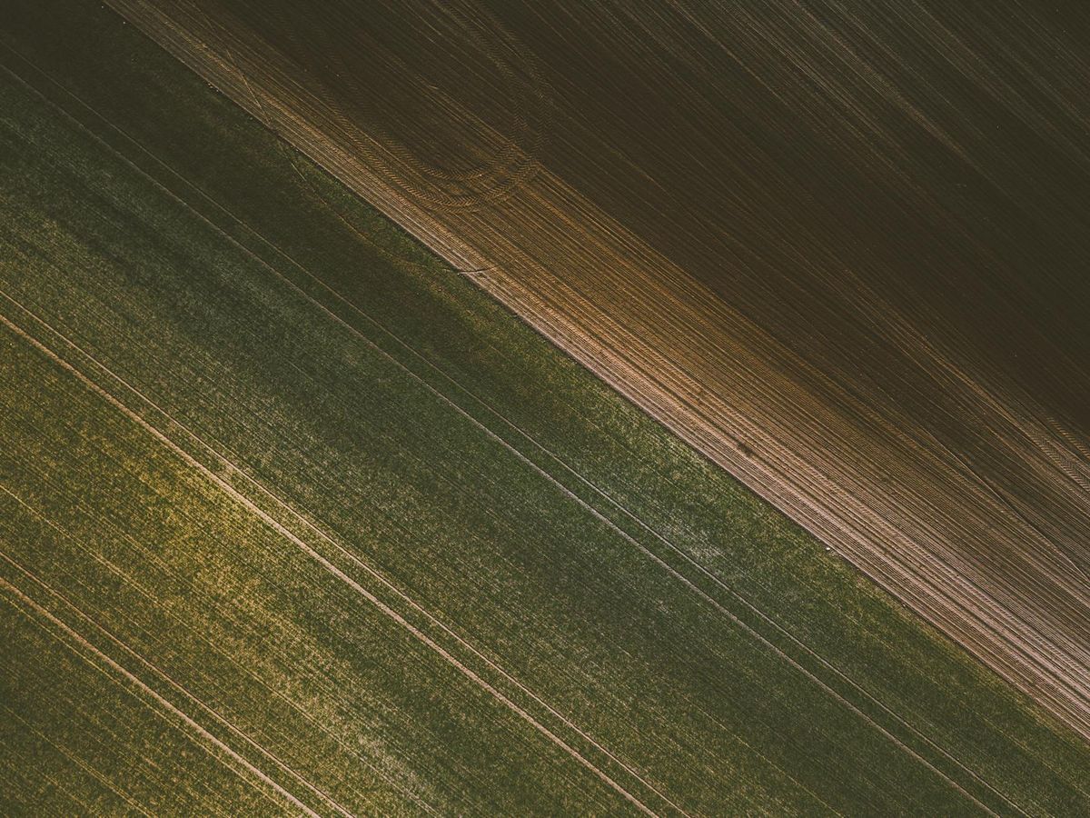 Aleister Crowley's Alleged Ball Lightning Encounter (1916)