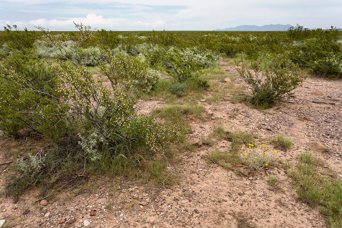 Bright object observed near the Mexican border at Hermanas, New Mexico (1952)
